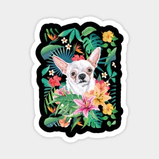 Tropical Short Haired White Chihuahua 1 Magnet