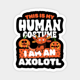 This is my human costume i am  an Axolotl Magnet