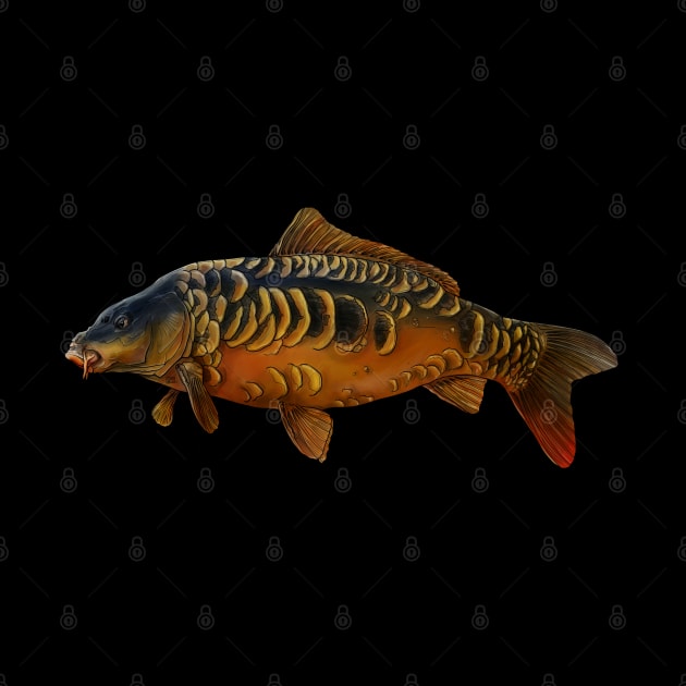 Carp by Sandarmi