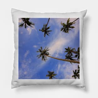 View Of Palm Pillow