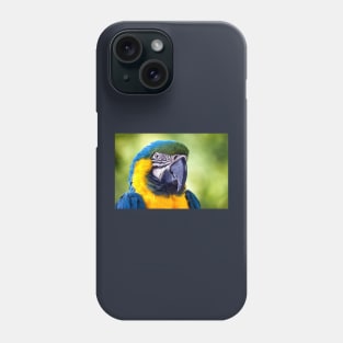 Macaw Parrot Phone Case