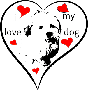 i love my dog, puppy, havanese, bolonka, giftidea Magnet