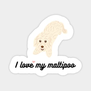 I love my maltipoo! Magnet