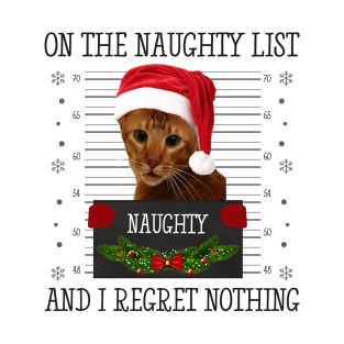 On The Naughty List And I Regret Nothing T-Shirt