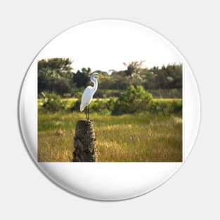 Egret Bird on a Tree Stump Florida Pin