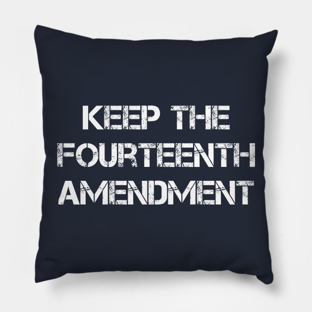 14th Amendment Pillow by GrayDaiser