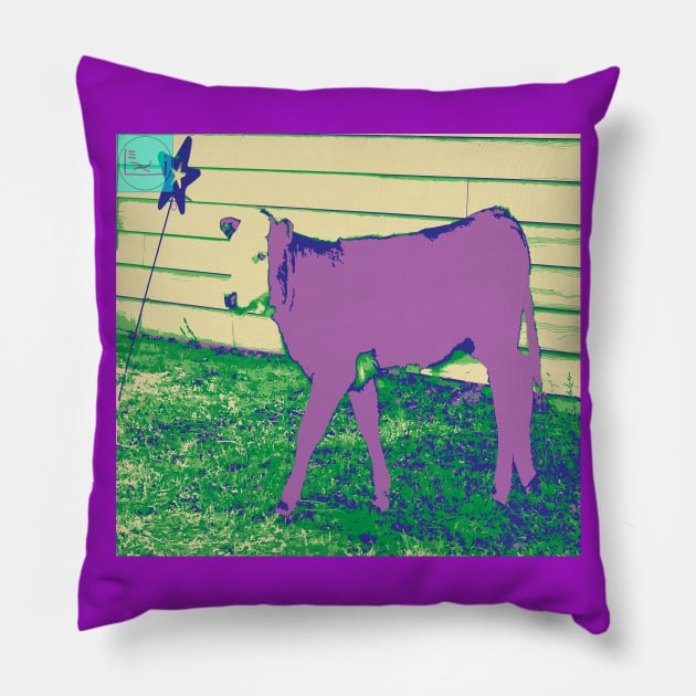 purple swagger Pillow by callalexi