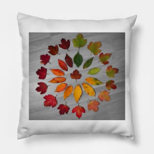 Cycle of leaf autumn leaf art Pillow