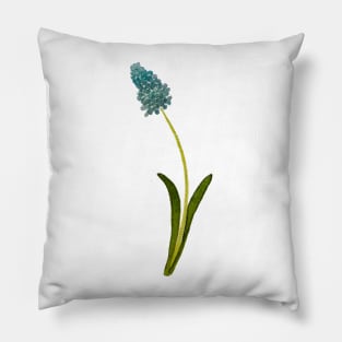 Muscari Pillow