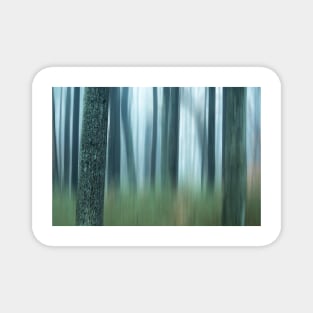 semi blurred trees in forest with vertical lines Magnet