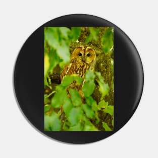 owl Pin