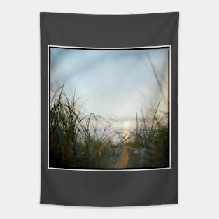 Faded Memories Tapestry