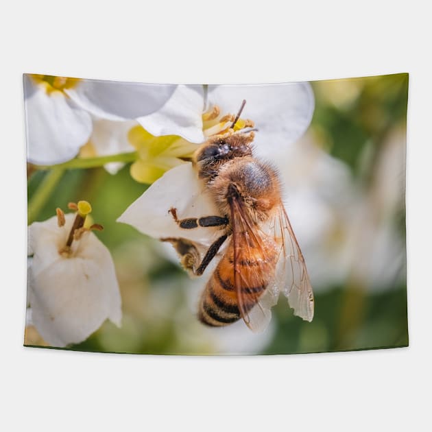 Pollen Collector. Photograph Tapestry by love-fi