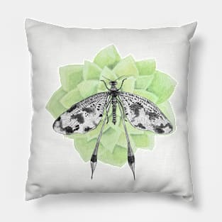 Dragonfly with tender green flower Pillow