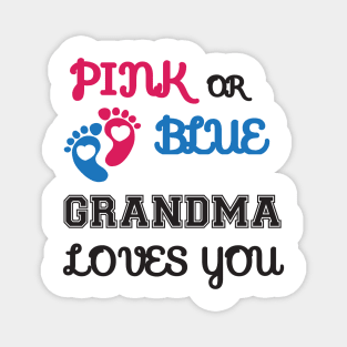 Pink or Blue Grandma Loves You Magnet