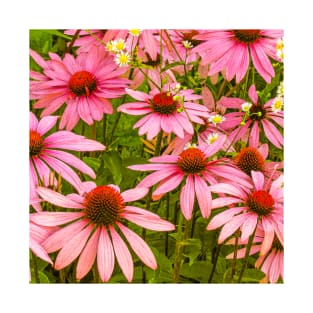 Echinacea Patch flower photography T-Shirt