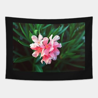 Pink Nerium oleander flower against natural green background Tapestry