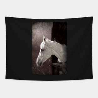 White Horse, portrait Tapestry