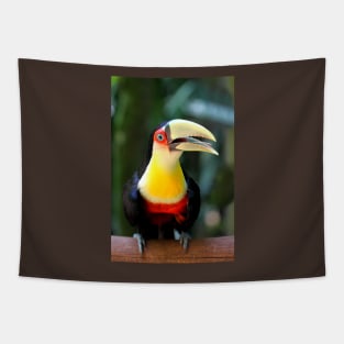 Red Breasted Toucan at Iguassu, Brazil Tapestry