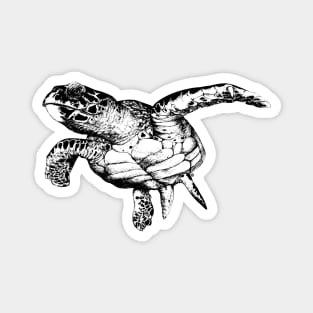 Seaturtle Magnet