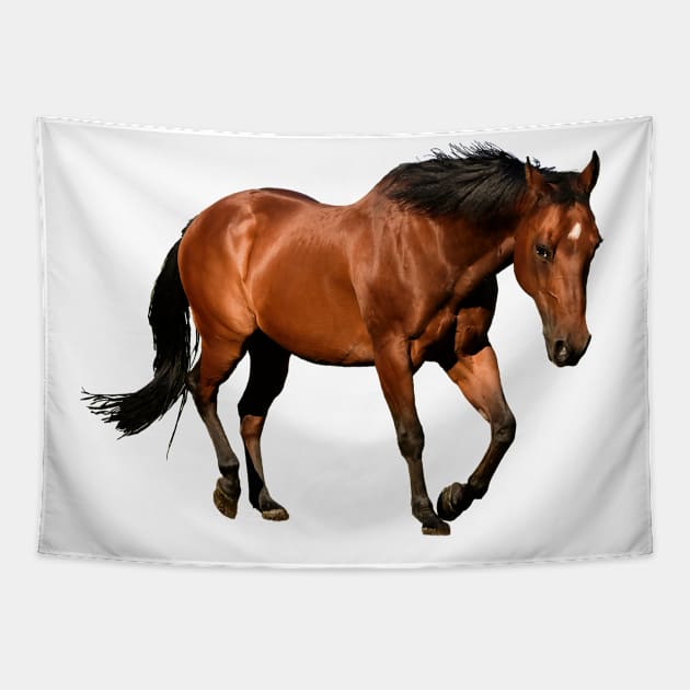 Beautiful Horse Tapestry by kawaii_shop