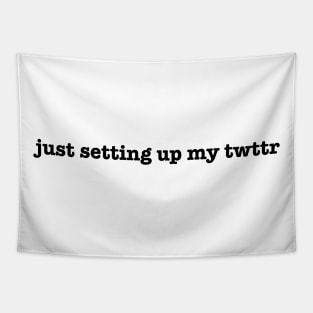 just setting up my twttr Tapestry