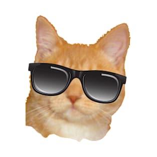 Cat in sunglasses T-Shirt