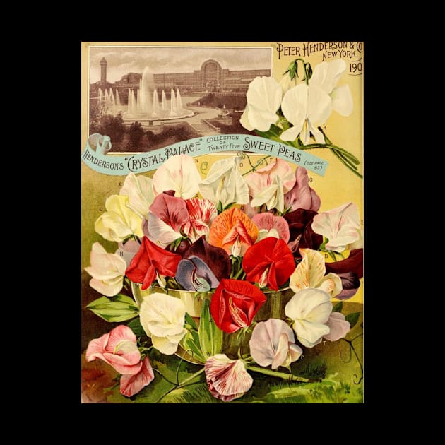 Sweet Peas Vintage Poster by StacyDDDD