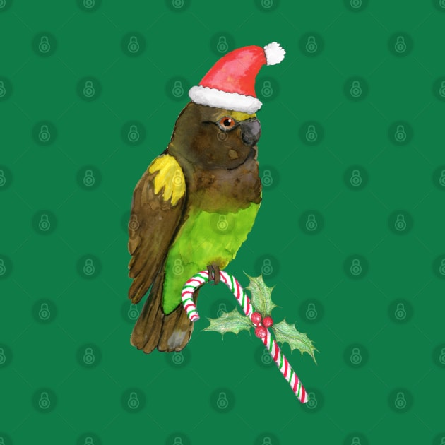 Meyer's parrot Christmas style by Bwiselizzy