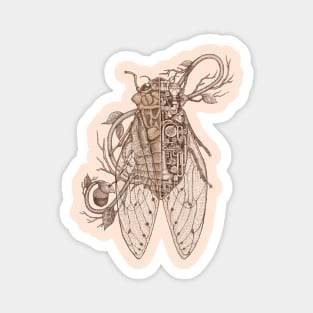 cicada Magnet