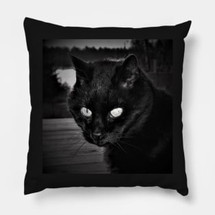 Shadow the Cat Pillow