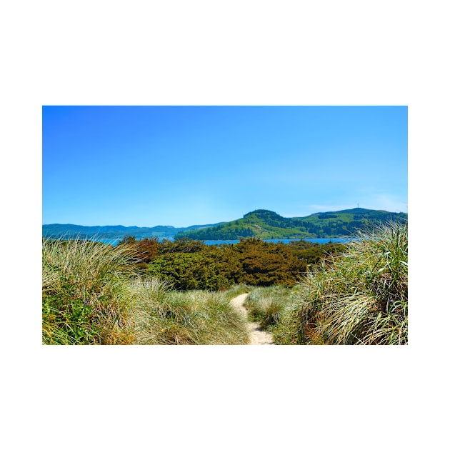 Footpath to Nestucca by Burtney