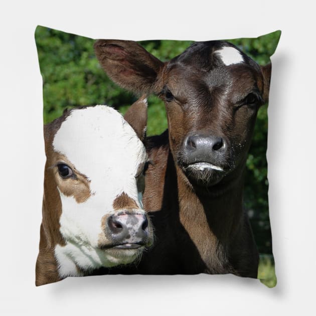 What Mischief Can We Get Up To Today? Pillow by AH64D