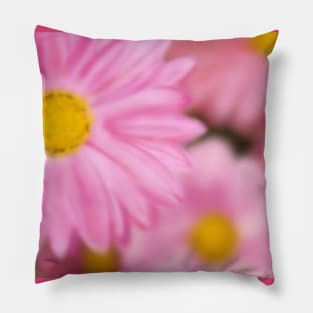 Airbrushed Pink Flowers Pillow