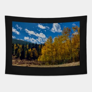 Fall Aspens Tapestry