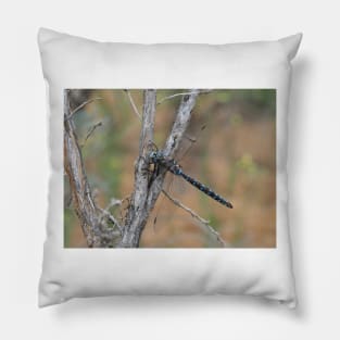 Darner dragonfly - most likely Rhionaeschna californica - California Darner Pillow