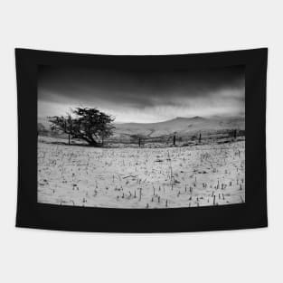 Pen y Fan and Corn Du from Mynydd Illtyd, Brecon Beacons Tapestry