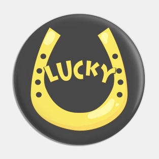 Lucky Horse Shoe Pin