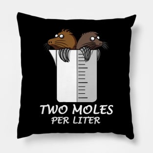 Chemistry Two Moles Per Liter Joke Pillow