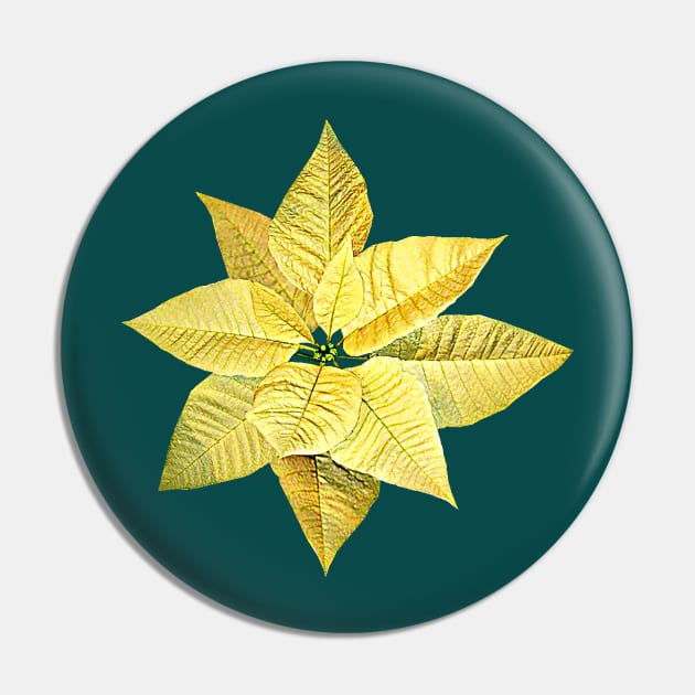 Poinsettias - Pale Yellow Poinsettia Pin by SusanSavad