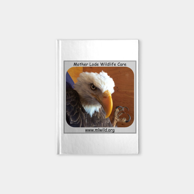 Eagle!
