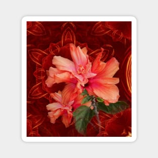 Orange hibiscus and vibrant kaleidoscope Magnet