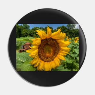 Sunflower Time Pin