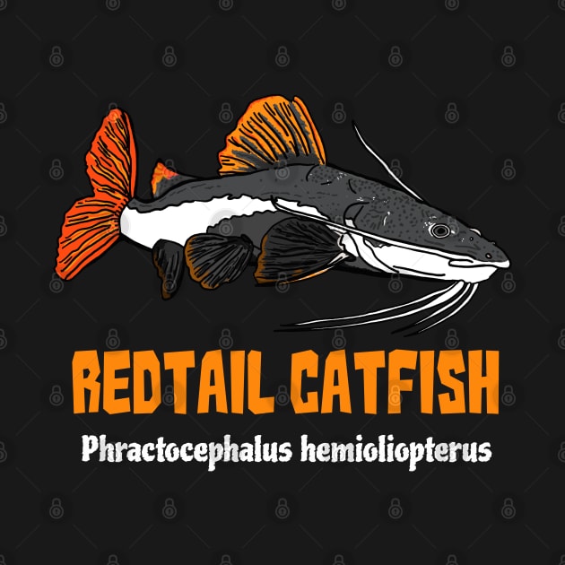 Redtail Catfish by SNK Kreatures