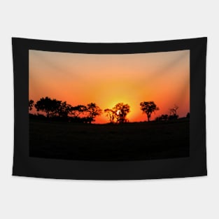 Sunset over the African landscape Tapestry