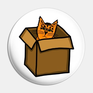 Orange Tabby Cat Hiding in a Cardboard Box Pin