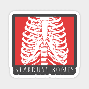 Stardust bones Magnet