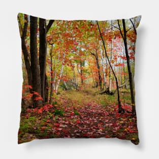 Beautiful Fall Pillow