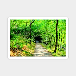 Scene near Lago di Fiastra with path, tunnel, vegetation, trunks Magnet