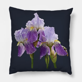 Irises - Lavender Irises Pillow